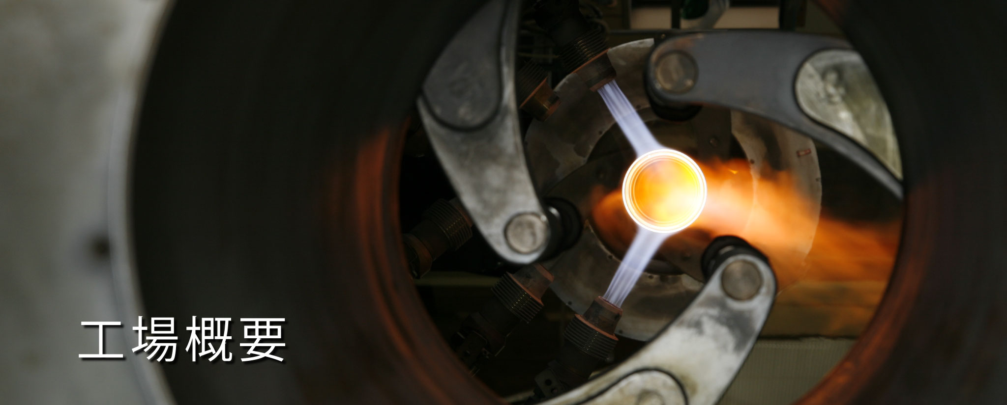 科学の土壌を豊かに